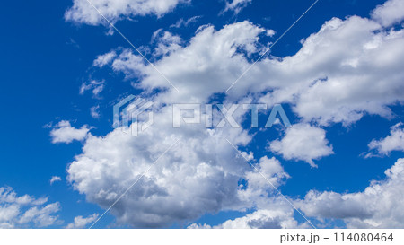 真夏の真っ青な青空に流れるたくさんの雲 真夏の真っ青な青空に流れるたくさんの雲 114080464