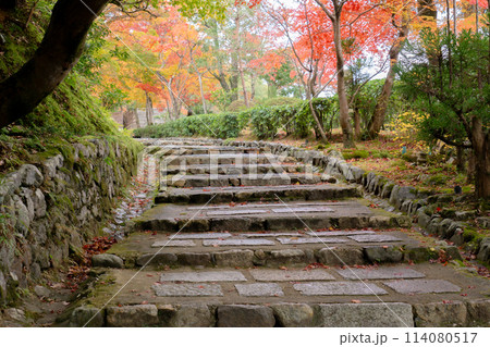 京都市左京区嵯峨の化野念仏寺（あだし野念仏寺）　参道 114080517