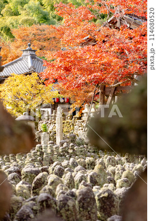 京都市左京区嵯峨の化野念仏寺(あだし野念仏寺) 西院の河原と紅葉 京都市左京区嵯峨の化野念仏寺(あだし野念仏寺) 西院の河原と紅葉 114080520