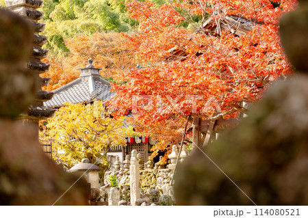 京都市左京区嵯峨の化野念仏寺（あだし野念仏寺）　西院の河原と紅葉 114080521