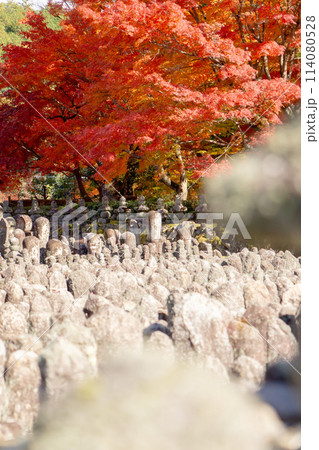 京都市左京区嵯峨の化野念仏寺（あだし野念仏寺）　西院の河原と紅葉 114080528