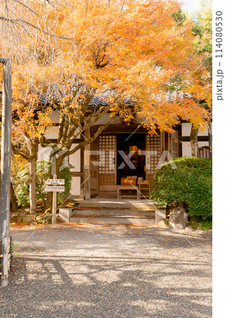 京都市左京区嵯峨の化野念仏寺（あだし野念仏寺）　本堂の紅葉 114080530