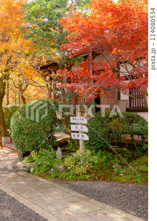 京都市左京区嵯峨の化野念仏寺（あだし野念仏寺）　本堂の紅葉 114080534