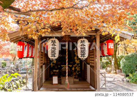 京都市左京区嵯峨の化野念仏寺（あだし野念仏寺）　延命地蔵堂の紅葉 114080537