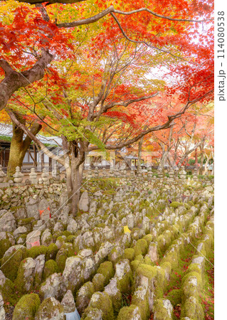京都市左京区嵯峨の化野念仏寺（あだし野念仏寺）　西院の河原と紅葉 114080538
