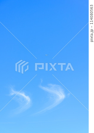 うららかな春風の中を飛行するグライダー(滑空機)と青空風景 うららかな春風の中を飛行するグライダー(滑空機)と青空風景 114080563