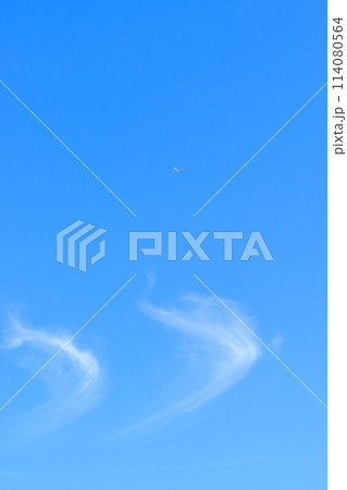 うららかな春風の中を飛行するグライダー(滑空機)と青空風景 うららかな春風の中を飛行するグライダー(滑空機)と青空風景 114080564