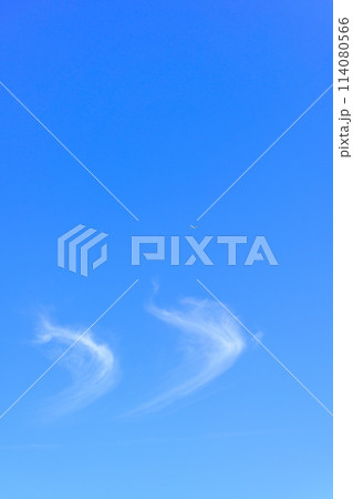 うららかな春風の中を飛行するグライダー（滑空機）と青空風景 114080566