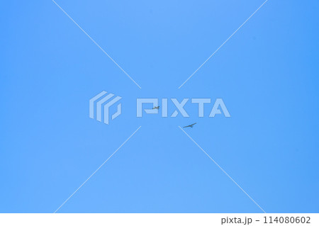 うららかな春風の中を飛行するグライダー(滑空機)と青空風景 うららかな春風の中を飛行するグライダー(滑空機)と青空風景 114080602