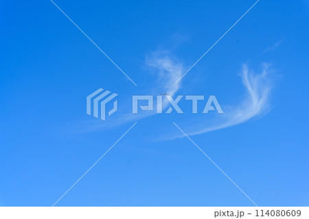 うららかな春風の中を飛行するグライダー（滑空機）と青空風景 114080609