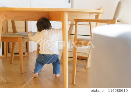 テーブルの下に隠れる赤ちゃん 114080610