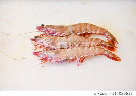 有頭エビ　天然 114080613