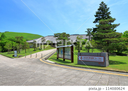 新緑の奈良公園 浮雲園地 新緑の奈良公園 浮雲園地 114080624