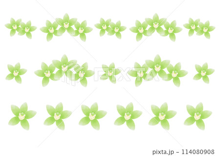 シンビジウム シンビジウム 114080908