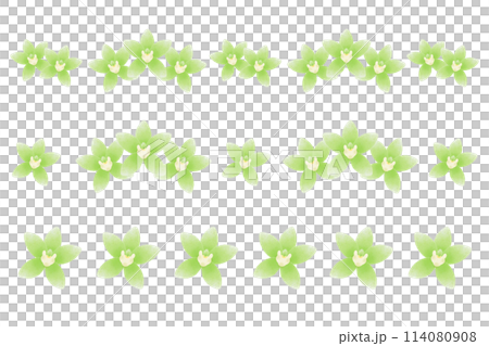 シンビジウム シンビジウム 114080908