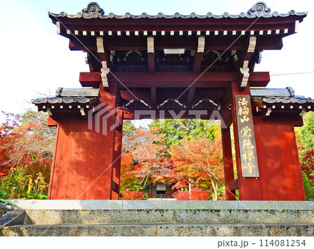 下関長府の紅葉スポット覚苑寺朱塗りの山門 下関長府の紅葉スポット覚苑寺朱塗りの山門 114081254