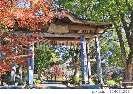 福岡県田川郡添田町の添田公園楼門と紅葉 福岡県田川郡添田町の添田公園楼門と紅葉 114081298