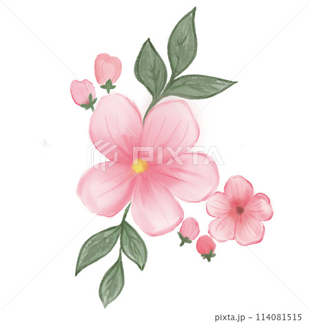beautiful pink flower in a dream beautiful pink flower in a dream 114081515