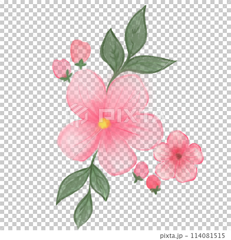 beautiful pink flower in a dream beautiful pink flower in a dream 114081515