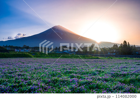 富士山の稜線からの日の出と蓮華畑 114082000