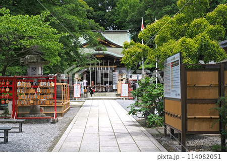 鎮守氷川神社の参道【埼玉県川口市】 114082051