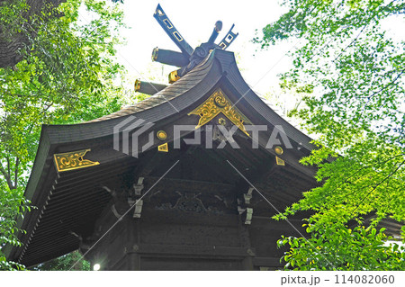 鎮守氷川神社の本殿【埼玉県川口市】 114082060