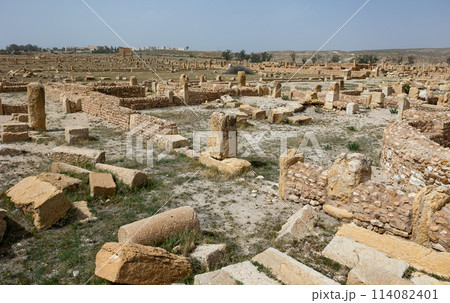 Historical ruins of Sufetula near Sbeitla town in Tunisia 114082401