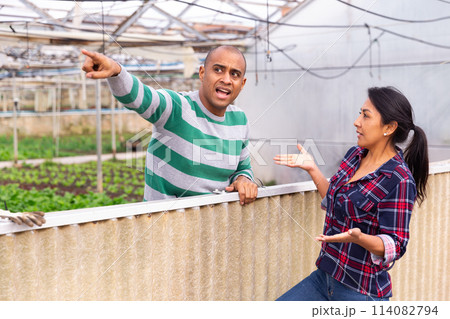 Conflict between neighbors over backyard 114082794