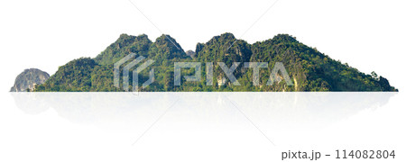 mountain range with a green forest on top 114082804