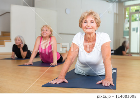 Group of elderly women performs an exercise in the dog pose face up 114083008
