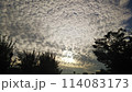 空一面の鱗雲 114083173
