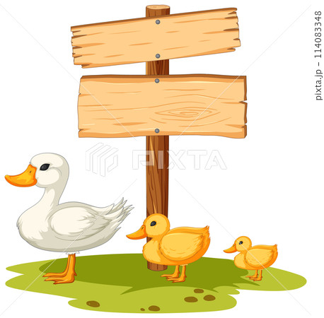 Duck Family Beside Wooden Signpost 114083348