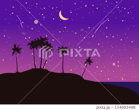Night Tropical seashore landscape, palms, moonlight. Summer exotic scene view, silhouette, falling star 114083496