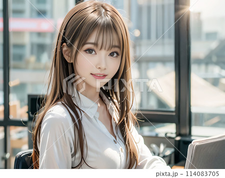 オフィスレディ ビジネスウーマン イメージ オフィスレディ ビジネスウーマン イメージ 114083705