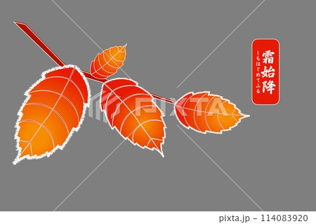 霜始降 しもはじめてふる 霜始降 しもはじめてふる 114083920