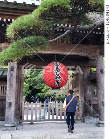夏の神奈川、鎌倉藤沢 114084143