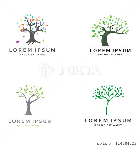 Living tree logo design, using a vector illustration template concept. Living tree logo design, using a vector illustration template concept. 114084323