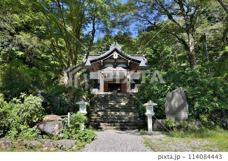 箱根 金時神社 箱根 金時神社 114084443