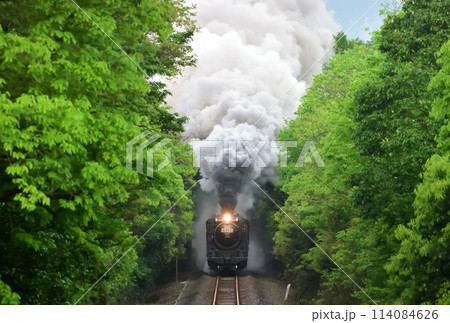 新緑の中を行くSL 新緑の中を行くSL 114084626