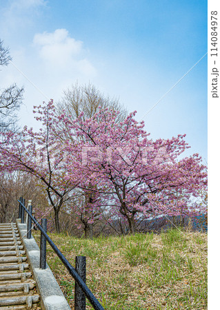 広島・呉・とびしま海道・であいの館 広島・呉・とびしま海道・であいの館 114084978