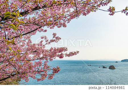 広島・呉・とびしま海道・であいの館 広島・呉・とびしま海道・であいの館 114084981