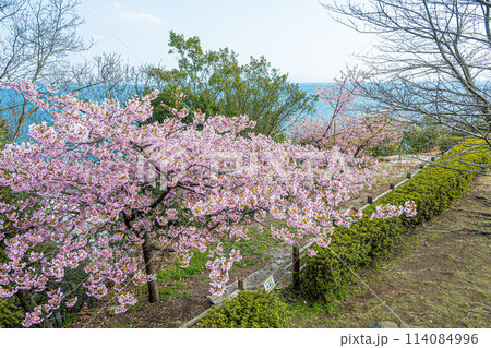 広島・呉・とびしま海道・であいの館 広島・呉・とびしま海道・であいの館 114084996
