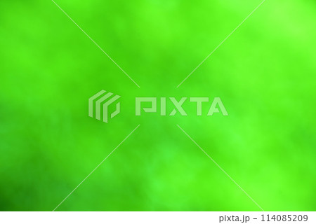 グリーン系 　背景素材 114085209