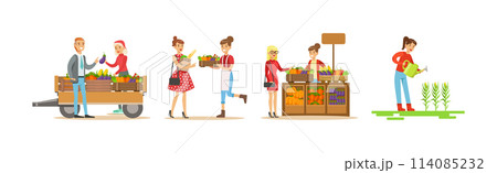 Farmer Produce Local Organic Food and Crop and Market Sell Vector Set 114085232