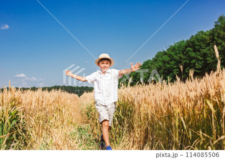 Happy boy with arms outstretched in wheat field on sunny day. Childhood, freedom, summer concept Happy boy with arms outstretched in wheat field on sunny day. Childhood, freedom, summer concept 114085506