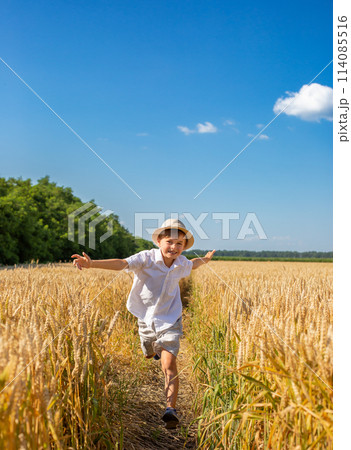 Happy boy with arms outstretched in wheat field on sunny day. Childhood, freedom, summer concept 114085516