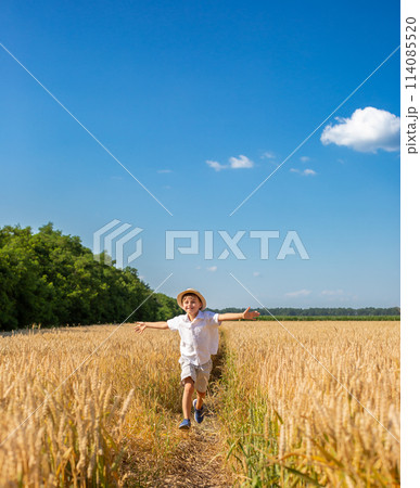 Boy in wheat field on sunny day, arms wide open above wheat field. Fresh air, concept of freedom 114085520