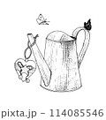 Watering can heart vector illustration butterfly. Metal curved gardening decoration water. Black outline graphic drawing. Ink line contour silhouette outline. Instrument tool star bells rope jute work 114085546