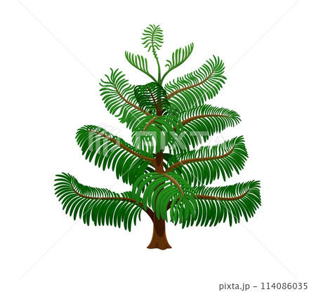 Cartoon jungle rainforest tree. Isolated vector plant with vibrant foliage, 2d element for environmental designs and game landscape graphics. Exotic evergreen plant with lush, spreading branches 114086035