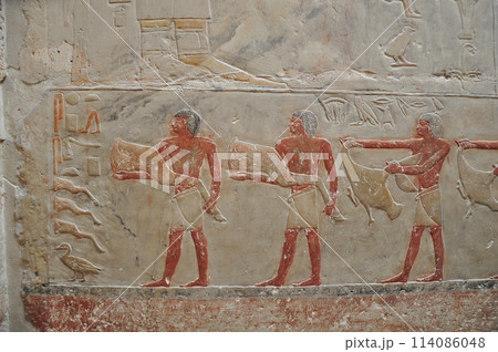 ジュゼル王のピラミッド ジュゼル王のピラミッド 114086048